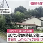 【悲報】クマさん、住宅の2階に出没🐻