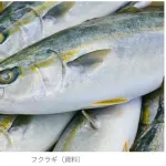 彡(^)(^)｢給食のフクラギの梅味噌焼き美味いなぁ｣→彡()()　児童生徒約100名にアレルギー症状