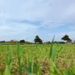 初見じゃ500%読めない日本の市