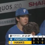 【緊急】日ハムファン集合