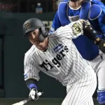 梅野隆太郎 8月と9月成績 打率.364(22-8) 0本 0点 出塁率.440 OPS.895wwwwwwww