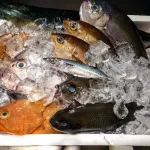 毎日魚食べようと思うんだが安くて美味くて調理楽な魚教えろ