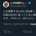 中川翔子「人を攻撃するためにSNS使ってる人とは絶対人生でかかわりたくないです」