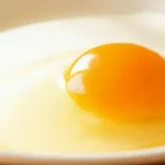 【急募】「生卵が食べれる」「水道水が飲める」と同類の日本の自慢ｗｗｗｗｗｗｗｗｗｗｗｗｗｗｗｗ