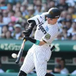 今年もホームラン数が激減した理由は明らか　飛ばなすぎるボール　日本は「MLBと比べても相当低い」　小林至氏が解説