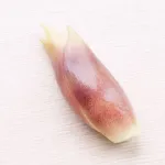 庭のみょうが１本収穫できたけどなにに使えばええんや…