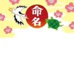中川翔子さん双子の名前をお決めになる