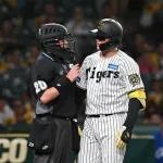 阪神森下が球審白井と一触即発　判定不服であわや　距離詰める２人をコーチが仲裁