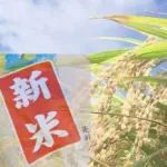 【悲報】JA「新米の価格めっちゃ上げたろ！」→新米の販売量が去年の半分へ・・・・・