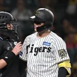 森下vs白井球審の例のアレ、ヤフコメで5000件のコメントがつく