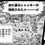 ワンピースさん「39年前シャッキーが行方不明になって世界経済が数週間停止しました」