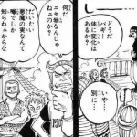 ロジャー海賊団「悪魔の実なんて噂でしか知らない」
