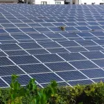 ソーラーパネル発電ってなんでこんなに嫌われるようになったんや？