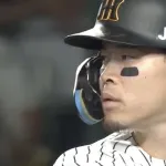 サトテル40号wwwwwwwwwwwwwwwwwwwwww