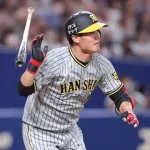 阪神・西純矢が打者転向へ　2月右肘手術も回復かなわず