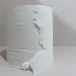 【謎】未だにトイレットペーパーが売れてる理由ｗｗｗｗｗｗｗｗｗｗｗｗｗｗｗｗ