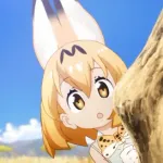 【悲報】「けものフレンズ」とかいう特級呪物と化したかつての大人気コンテンツｗｗｗｗｗｗｗｗｗｗ