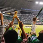 【2025年度】セ・パ１２球団 1試合平均観客動員数ｗｗｗｗｗｗｗｗｗｗｗｗｗｗｗ