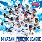 DeNA、「みやざきフェニックス・リーグ」参加選手発表！　投手陣では若手に加えて山﨑、藤浪らが参加！野手では牧、伊藤光の名前も