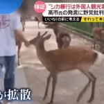 日テレ「奈良のシカいじめ特集」ヤラセ疑惑を否定も、“YouTube動画を一部削除”の謎を直撃