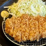 トンカツにカラシもつけるやつｗｗｗｗｗ
