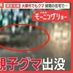 東京、札幌…大都市にクマ「フェーズが変わった」　市街地で「血だらけの女性が」