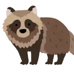 【朗報】タヌキ🦝、可愛い