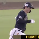 今年は太田のホームランで始まり太田のホームランで終わるのか