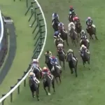 【動画】中央競馬で乱闘ｗｗｗｗｗｗｗｗｗｗｗｗｗｗｗｗ