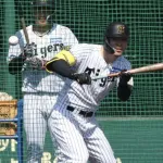 佐藤輝明、実戦打撃練習でまさかのバント練習wwwwwwwwwwww