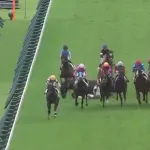【悲報】中央競馬で乱闘ｗｗｗｗｗ