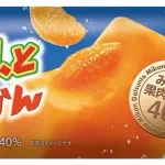 最強のアイス決めとくか