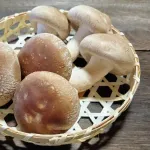 シイタケが全く食えないとかいうどんな職場に絶対に1人は居る奴ｗｗｗｗ