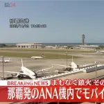 【悲報】とうとうANA機内でモバイルバッテリーが出火！