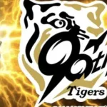阪神、vs横浜DeNAは消化試合以外で12勝5敗2分 ← 苦戦なしで勝てるだろ