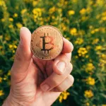 ビットコインさんうっかり3兆円損してしまう