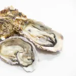 生牡蠣1個100円で一年中食べられることを売りにしていた飲食店、案の定ノロで集団食中毒💩