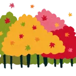 【朗報】紅葉、綺麗に色づく
