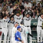 阪神5x-3横浜 森下翔太のサヨナラHR!!!中継ぎ陣が最高のリリーフ!!!蛇のようなゲームで日シリ王手!!!
