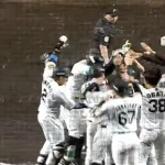 森下翔太ぁぁぁぁぁあああああああああああああwwwwwwwwwwwwwwwwww