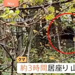 熊がつぎは老人ホームに狙いを定めた模様