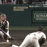 カットマン林、空振り三振後に謎のファールアピールｗｗｗｗｗｗ