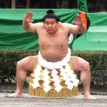 【疑問】若乃花って人気あったの？ｗｗｗｗｗｗｗｗｗｗｗｗｗｗｗｗ