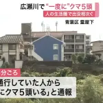 広瀬川河川敷で“一度に”クマ５頭出現