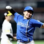 明日の日本ハム対ソフトバンクで日ハムが勝つ可能性ｗｗｗｗｗ