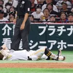 中村晃が審判と激突し負傷交代　担架で退場→救急車で搬送