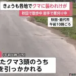 【秋田】78歳のばあさん👵、散歩中にクマ3頭🐻🐻🐻と遭遇