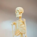 【悲報】人生で一度も骨折したことない人間ｗｗｗｗｗｗｗｗｗｗｗｗｗｗｗｗｗ
