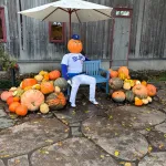 大谷翔平さん、カボチャに閉じ込められる🎃