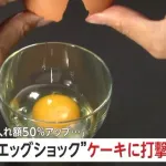 卵の価格が再高騰　迫る「エッグショック」にクリスマスケーキも高騰か